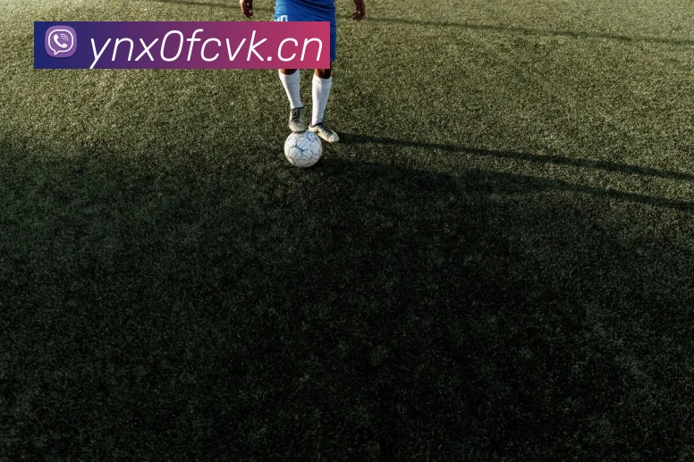 华体在线登录入口平台生态图